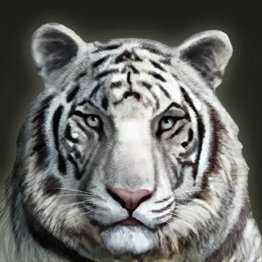 xiaoxichen's profile avatar