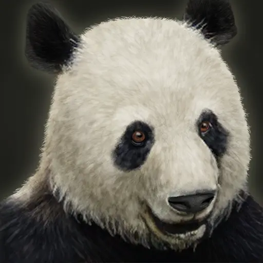 hym1234op's profile avatar