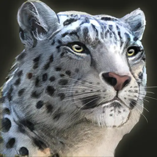 GhostDY's profile avatar