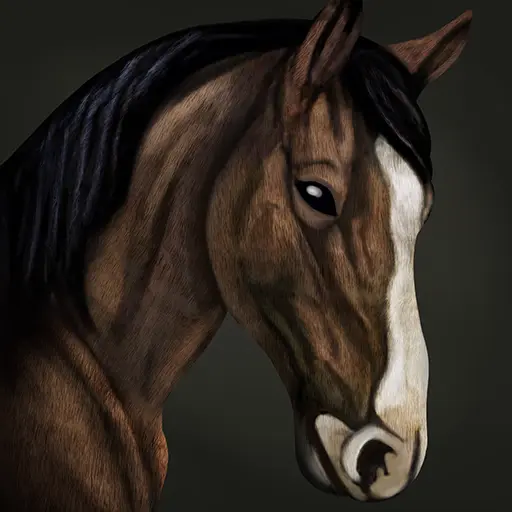 WITRAB's profile avatar