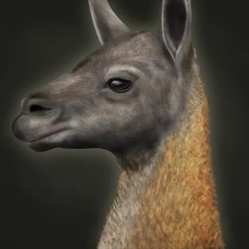 Duduson's profile avatar