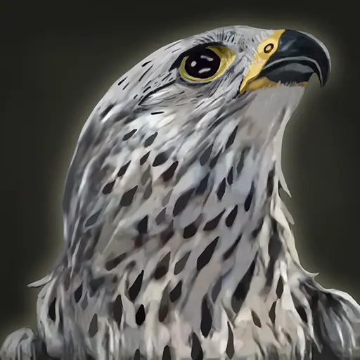 Kevin's profile avatar