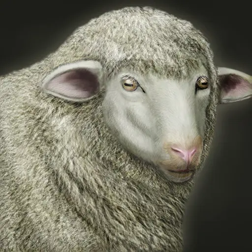 Mavaar's profile avatar