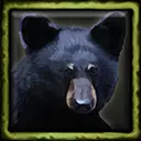 Gentle Pete the Pet Bear