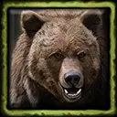 Honcho the Pet Grizzly