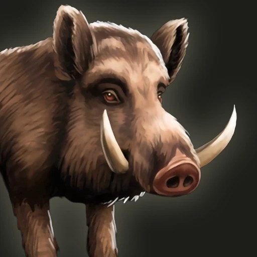 Beau the Barbaric Boar portrait