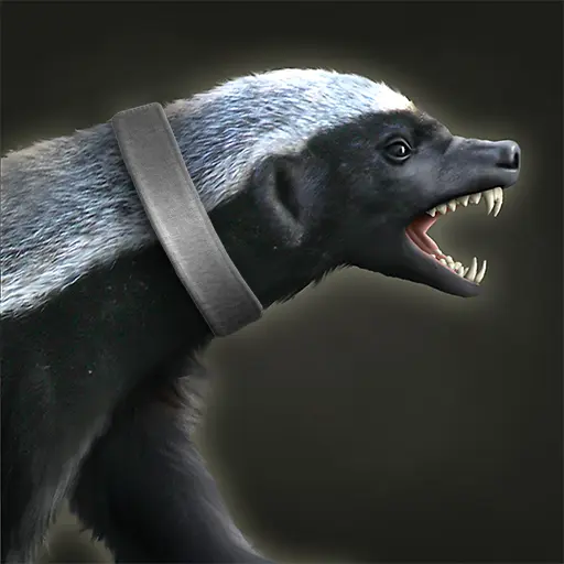 Honey Badger portrait