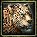 Janey the Pet Jaguar