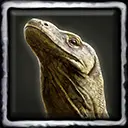 Kermond the Pet Monitor Lizard