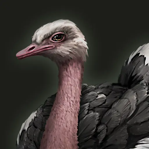 Ostrich