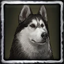 Husky
